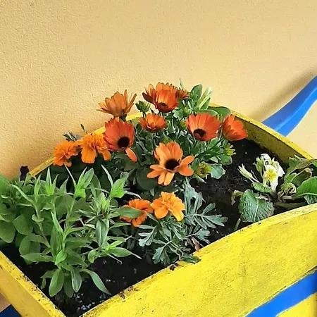 Ferienhaus Hilltop *