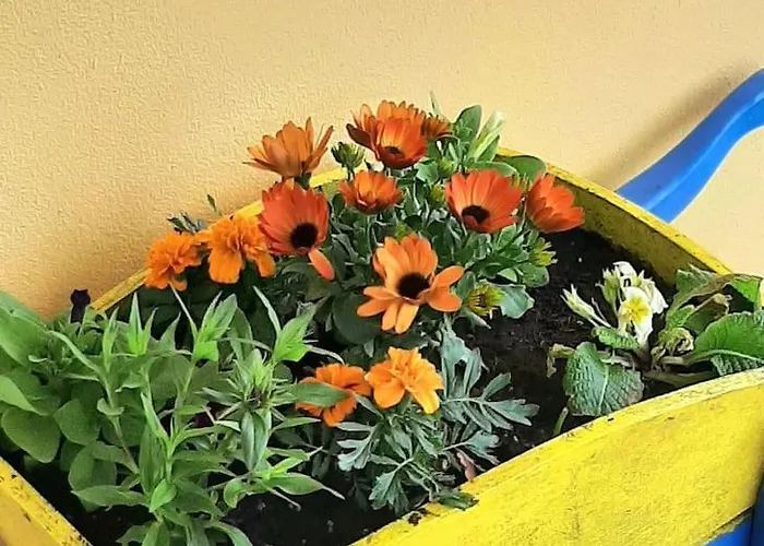 Дом отдыха Hilltop *